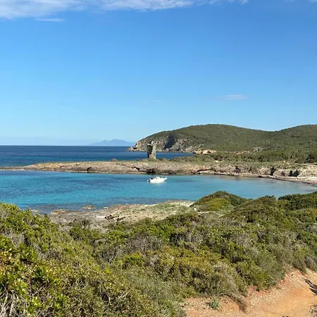 Vittoria Homes / Julia Bastia (Corsica)